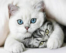 Cargar imagen en el visor de la galería, Punto De Cruz Diamante - Punto De Cruz Diamante - Amigos Gatos - Figuredart - Gatos Mascotas Punto De Cruz Diamante Animales