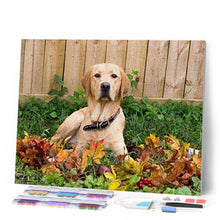 Cargar imagen en el visor de la galería, Punto De Cruz Diamante - Punto De Cruz Diamante - Labrador - Figuredart - Mascotas Punto De Cruz Diamante Animales