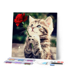 Cargar imagen en el visor de la galería, Punto De Cruz Diamante - Punto De Cruz Diamante - Cat Con Rosa - Figuredart - Flores Gatos Mascotas Punto De Cruz Diamante Animales Punto De