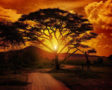 Cargar imagen en el visor de la galería, Diamond Painting - Gran árbol y amanecer
