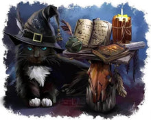 Cargar imagen en el visor de la galería, Punto De Cruz Diamante - Punto De Cruz Diamante - Brujo Del Gato - Figuredart - Gatos Mascotas Punto De Cruz Diamante Animales