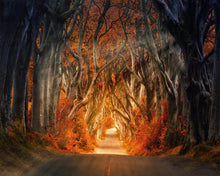 Cargar imagen en el visor de la galería, Diamond Painting - Camino forestal