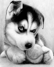 Cargar imagen en el visor de la galería, Punto De Cruz Diamante - Punto De Cruz Diamante - Pequeño Husky Jugador - Figuredart - Mascotas Punto De Cruz Diamante Animales