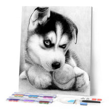 Cargar imagen en el visor de la galería, Punto De Cruz Diamante - Punto De Cruz Diamante - Pequeño Husky Jugador - Figuredart - Mascotas Punto De Cruz Diamante Animales