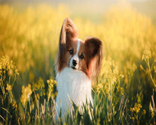 Cargar imagen en el visor de la galería, Diamond Painting - Pequeño perro en un campo