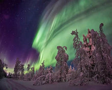 Cargar imagen en el visor de la galería, Punto De Cruz Diamante - Punto De Cruz Diamante - Aurora Boreales Y Abetos - Figuredart - Paisajes Punto De Cruz Diamante Paisajes