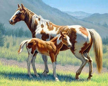 Cargar imagen en el visor de la galería, Punto De Cruz Diamante - Punto De Cruz Diamante - Caballo Y Potro - Figuredart - Caballos Mascotas Punto De Cruz Diamante Animales