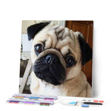 Cargar imagen en el visor de la galería, Punto De Cruz Diamante - Punto De Cruz Diamante - Barro Amasado Lindo - Figuredart - Mascotas Punto De Cruz Diamante Animales