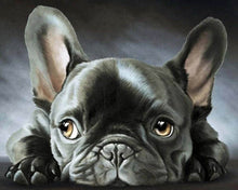 Cargar imagen en el visor de la galería, Diamond Painting - Perro negro