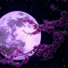 Cargar imagen en el visor de la galería, Punto De Cruz Diamante - Punto De Cruz Diamante - Luna Llena Y Flores - Figuredart - Flores Paisajes Punto De Cruz Diamante Paisajes