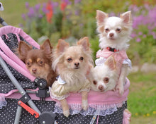 Cargar imagen en el visor de la galería, Diamond Painting - Carrito con perros