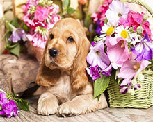 Cargar imagen en el visor de la galería, Diamond Painting - Perro y su canasta de flores