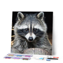 Cargar imagen en el visor de la galería, Punto De Cruz Diamante - Punto De Cruz Diamante - Mapache - Figuredart - Mapaches Mascotas Punto De Cruz Diamante Animales