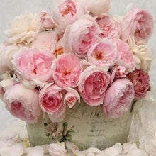 Cargar imagen en el visor de la galería, Punto De Cruz Diamante - Punto De Cruz Diamante - La Vida En Rosa - Figuredart - Flores Punto De Cruz Diamante Flores