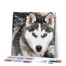 Cargar imagen en el visor de la galería, Punto De Cruz Diamante - Punto De Cruz Diamante - Cara Del Lobo - Figuredart - Conejos Lobos Mascotas Punto De Cruz Diamante Animales