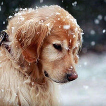 Cargar imagen en el visor de la galería, Punto De Cruz Diamante - Punto De Cruz Diamante - Perro En La Nieve - Figuredart - Invierno Mascotas Perros Punto De Cruz Diamante Animales