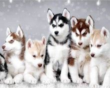 Cargar imagen en el visor de la galería, Punto De Cruz Diamante - Punto De Cruz Diamante - Pequeño Lobo - Figuredart - Conejos Lobos Mascotas Punto De Cruz Diamante Animales