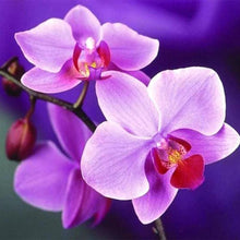 Cargar imagen en el visor de la galería, Punto De Cruz Diamante - Punto De Cruz Diamante - Bonitas Flores - Figuredart - Flores Punto De Cruz Diamante Flores