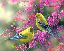 Cargar imagen en el visor de la galería, Punto De Cruz Diamante - Punto De Cruz Diamante - Rama Con Flores Sobre Las Aves - Figuredart - Mascotas Punto De Cruz Diamante Animales