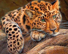 Cargar imagen en el visor de la galería, Punto De Cruz Diamante - Punto De Cruz Diamante - Pantera - Figuredart - Mascotas Pantera Punto De Cruz Diamante Animales