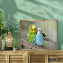 Cargar imagen en el visor de la galería, Punto De Cruz Diamante - Punto De Cruz Diamante - Periquitos - Figuredart - Mascotas Punto De Cruz Diamante Animales