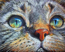 Cargar imagen en el visor de la galería, Punto De Cruz Diamante - Punto De Cruz Diamante - Cara Del Gato - Figuredart - Gatos Mascotas Punto De Cruz Diamante Animales