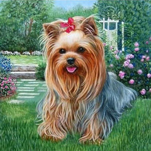 Cargar imagen en el visor de la galería, Punto De Cruz Diamante - Punto De Cruz Diamante - Perro Bichón Maltés - Figuredart - Mascotas Perros Punto De Cruz Diamante Animales