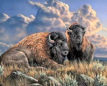 Cargar imagen en el visor de la galería, Punto De Cruz Diamante - Punto De Cruz Diamante - Bisontes - Figuredart - Bisones Mascotas Punto De Cruz Diamante Animales