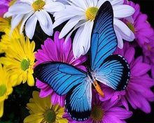 Cargar imagen en el visor de la galería, Punto De Cruz Diamante - Punto De Cruz Diamante - Azul De La Mariposa Y De Las Flores - Figuredart - Flores Mariposas Mascotas Punto De Cruz