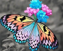 Cargar imagen en el visor de la galería, Punto De Cruz Diamante - Punto De Cruz Diamante - Mariposa Que Recolecta El Polen - Figuredart - Mariposas Mascotas Punto De Cruz Diamante