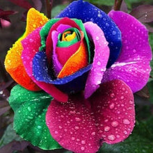 Cargar imagen en el visor de la galería, Punto De Cruz Diamante - Punto De Cruz Diamante - Big Pétalo De La Flor - Figuredart - Flores Punto De Cruz Diamante Flores