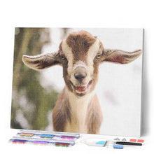 Cargar imagen en el visor de la galería, Punto De Cruz Diamante - Punto De Cruz Diamante - Little Oveja - Figuredart - Mascotas Punto De Cruz Diamante Animales