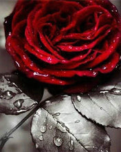 Cargar imagen en el visor de la galería, Punto De Cruz Diamante - Punto De Cruz Diamante - Rosa Roja 2 - Figuredart - Flores Punto De Cruz Diamante Flores