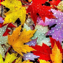 Cargar imagen en el visor de la galería, Punto De Cruz Diamante - Punto De Cruz Diamante - Hojas De Otoño - Figuredart - Paisajes Punto De Cruz Diamante Paisajes