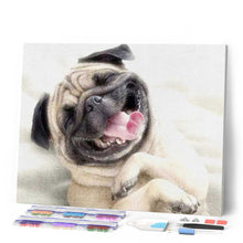Cargar imagen en el visor de la galería, Punto De Cruz Diamante - Punto De Cruz Diamante - Dormido - Figuredart - Mascotas Punto De Cruz Diamante Animales