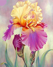 Cargar imagen en el visor de la galería, Punto De Cruz Diamante - Punto De Cruz Diamante - Iris Bicolor - Figuredart - Flores Punto De Cruz Diamante Flores