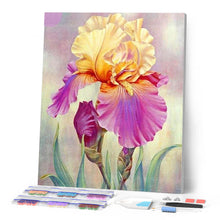 Cargar imagen en el visor de la galería, Punto De Cruz Diamante - Punto De Cruz Diamante - Iris Bicolor - Figuredart - Flores Punto De Cruz Diamante Flores