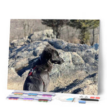 Cargar imagen en el visor de la galería, Punto De Cruz Diamante - Punto De Cruz Diamante - Piedra Y Perro - Figuredart - Mascotas Perros Punto De Cruz Diamante Animales