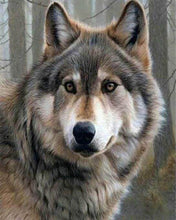 Cargar imagen en el visor de la galería, Punto De Cruz Diamante - Punto De Cruz Diamante - Observando El Lobo - Figuredart - Mascotas Punto De Cruz Diamante Animales