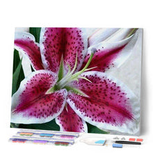 Cargar imagen en el visor de la galería, Punto De Cruz Diamante - Punto De Cruz Diamante - Lirio Rojo - Figuredart - Flores Punto De Cruz Diamante Flores