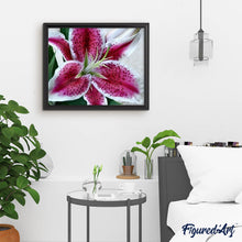 Cargar imagen en el visor de la galería, Punto De Cruz Diamante - Punto De Cruz Diamante - Lirio Rojo - Figuredart - Flores Punto De Cruz Diamante Flores
