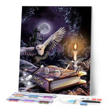 Cargar imagen en el visor de la galería, Punto de Cruz Diamante - Diamond Painting - Búho en la noche 2 40x50cm con bastidor montado