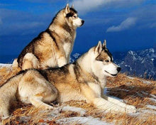 Cargar imagen en el visor de la galería, Punto De Cruz Diamante - Punto De Cruz Diamante - Huskys - Figuredart - Mascotas Punto De Cruz Diamante Animales