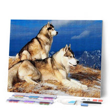 Cargar imagen en el visor de la galería, Punto De Cruz Diamante - Punto De Cruz Diamante - Huskys - Figuredart - Mascotas Punto De Cruz Diamante Animales