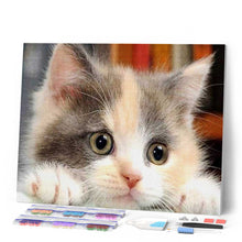 Cargar imagen en el visor de la galería, Punto De Cruz Diamante - Punto De Cruz Diamante - Pequeño Gato Curioso - Figuredart - Gatos Mascotas Punto De Cruz Diamante Animales