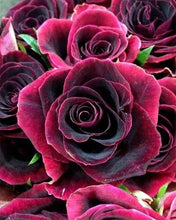 Cargar imagen en el visor de la galería, Punto De Cruz Diamante - Punto De Cruz Diamante - Rosa Granate - Figuredart - Flores Punto De Cruz Diamante Flores