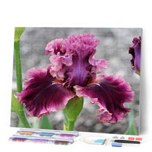 Cargar imagen en el visor de la galería, Punto De Cruz Diamante - Punto De Cruz Diamante - Iris Granate - Figuredart - Flores Punto De Cruz Diamante Flores