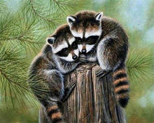 Cargar imagen en el visor de la galería, Punto De Cruz Diamante - Punto De Cruz Diamante - Mapache Encaramado - Figuredart - Mapaches Mascotas Punto De Cruz Diamante Animales
