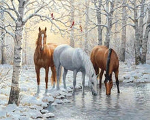 Cargar imagen en el visor de la galería, Punto De Cruz Diamante - Punto De Cruz Diamante - Tres Caballos Refrescantes - Figuredart - Caballos Mascotas Punto De Cruz Diamante