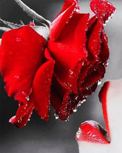Cargar imagen en el visor de la galería, Punto De Cruz Diamante - Punto De Cruz Diamante - Rosa Roja - Figuredart - Flores Punto De Cruz Diamante Flores